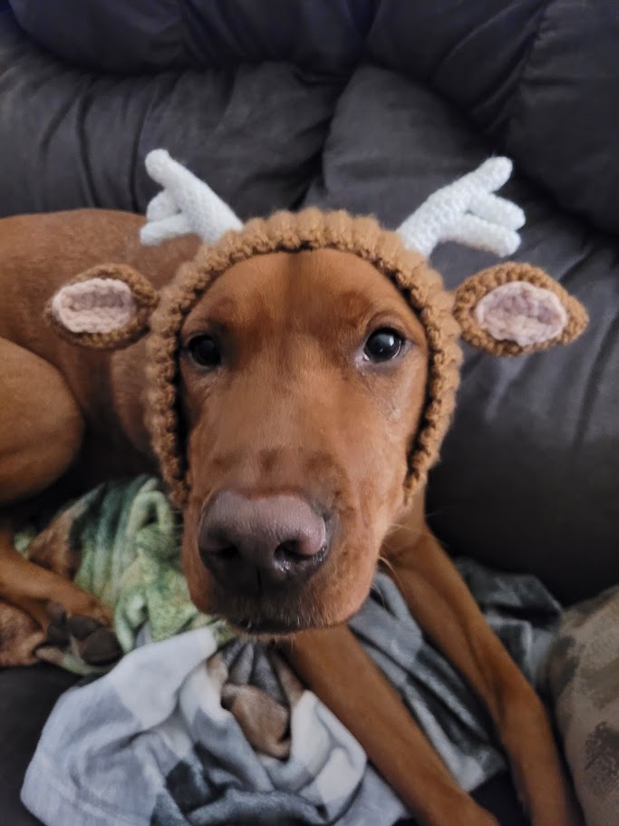 Deer Dog Snood